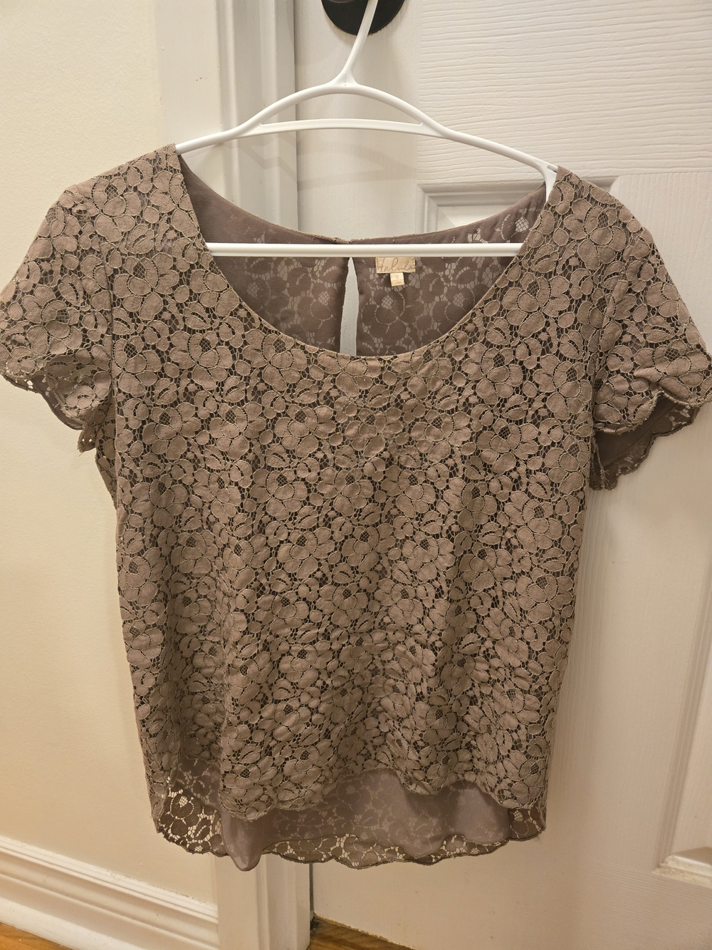 Talula Floral Lace Short Sleeve Top - Taupe